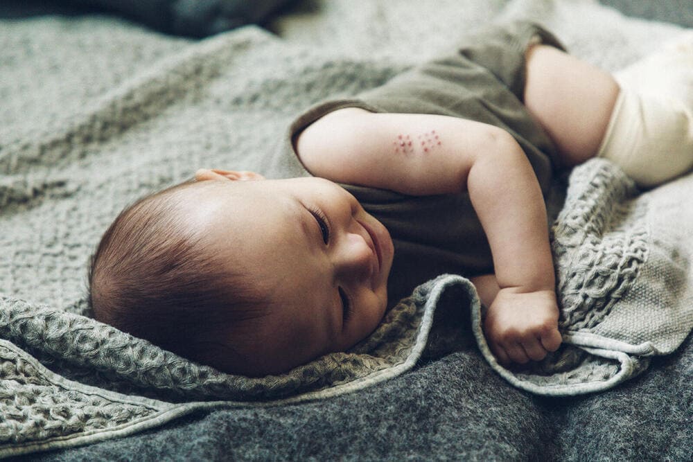 MARLMARL ホールガーメントニット MOY