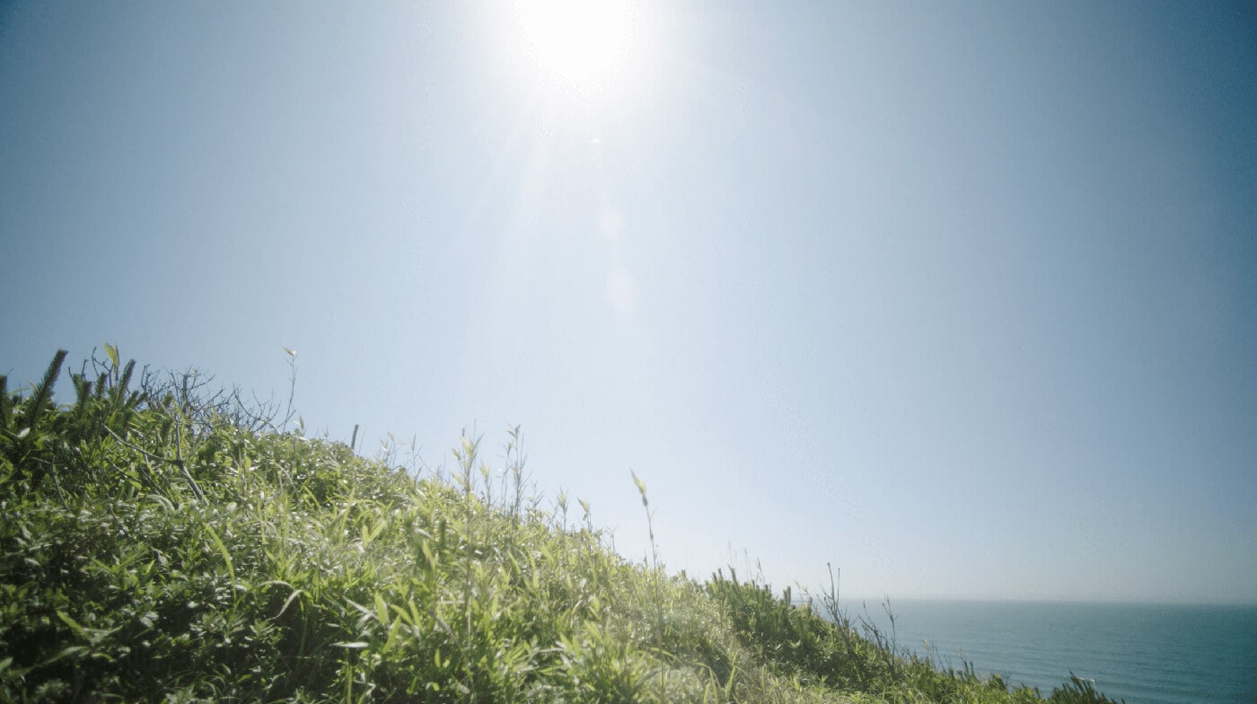 10th Anniversary | MARLMARL