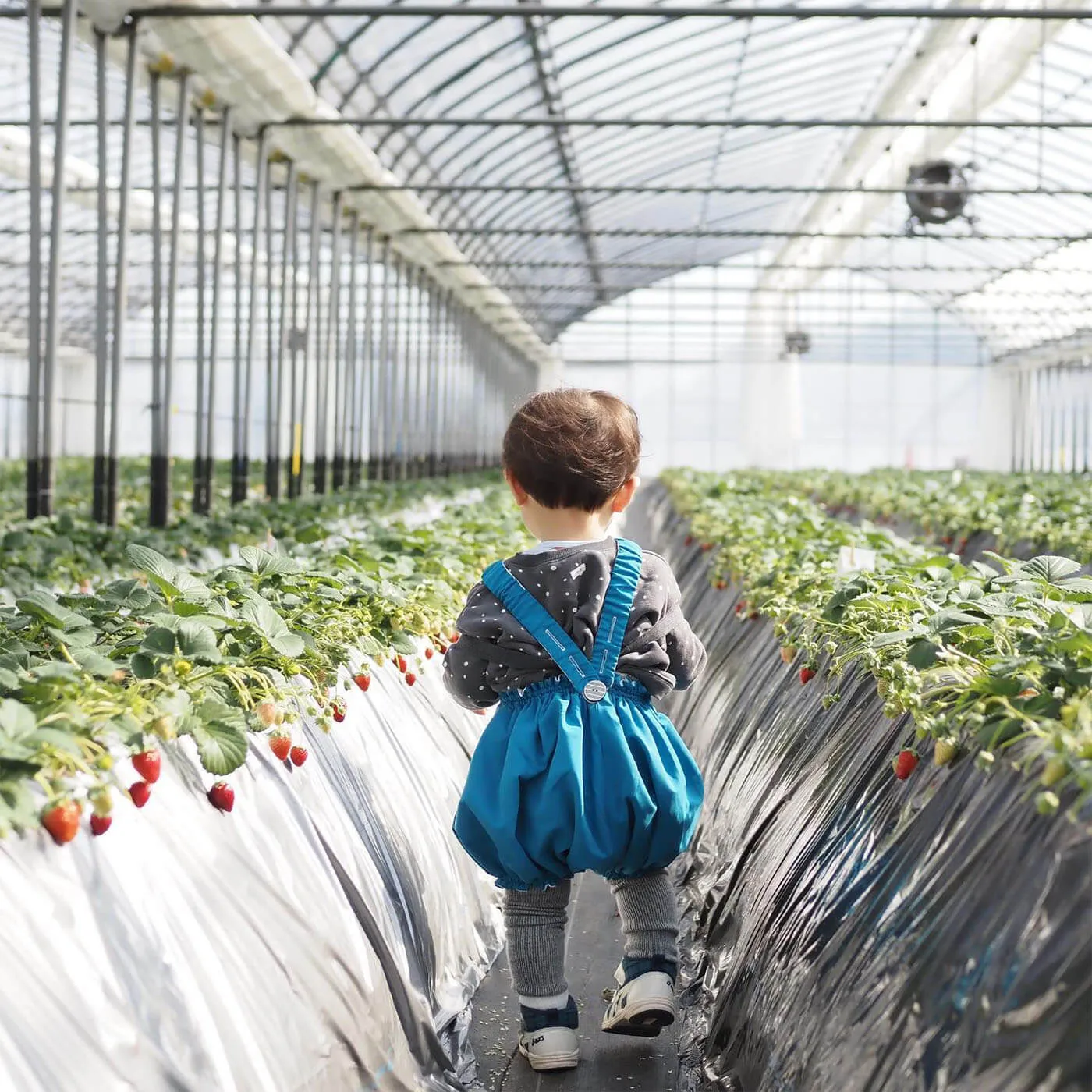 MARLMARLとくだもの狩り