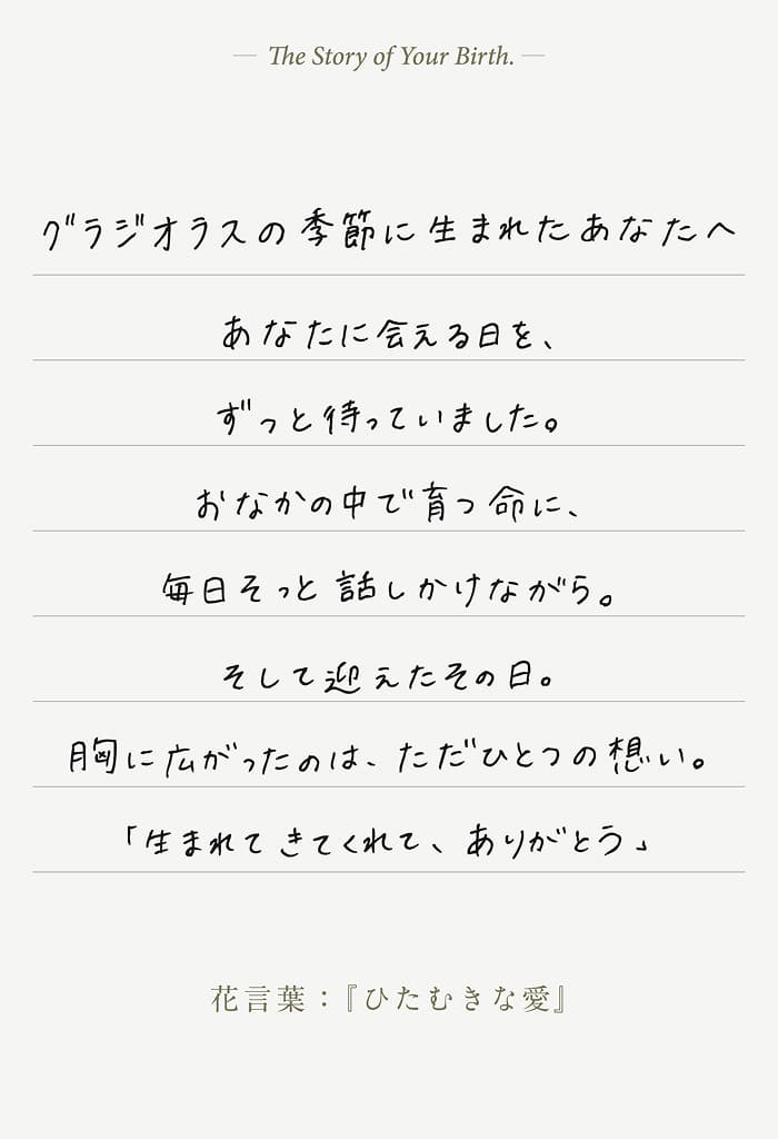 今月の誕生花スタイ｜誕生花でつづる12ヶ月の物語