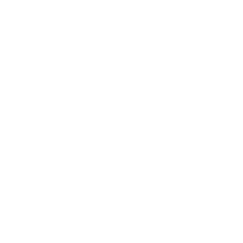 Birth flower bib | ONE LIFE ONE STORY | 2026 / June