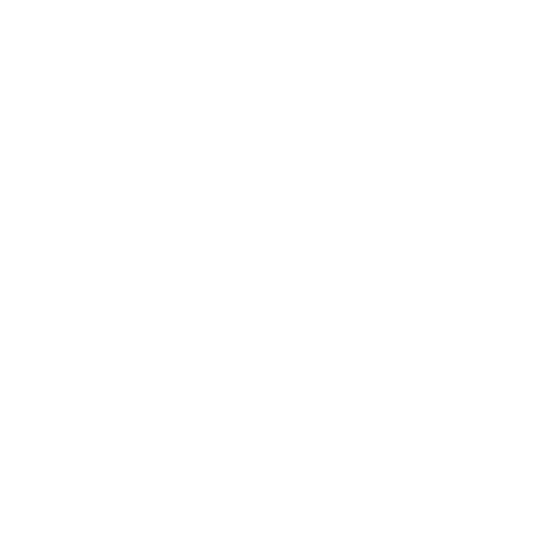 Birth flower bib