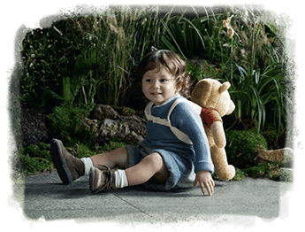 多機能ぬいぐるみ / Winnie the pooh 4 BFF+