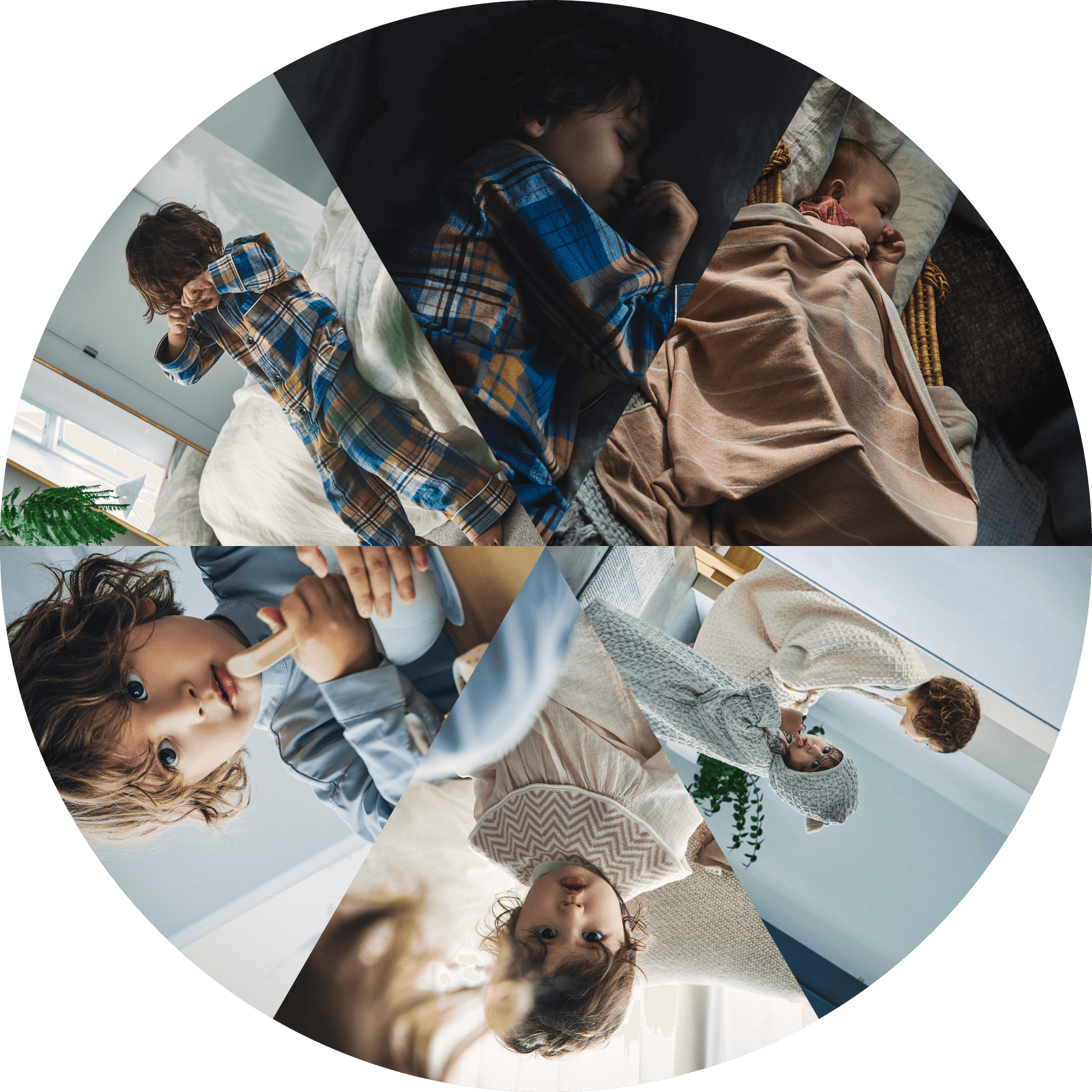 MARLMARL 2022AW GROW UP | MARLMARL