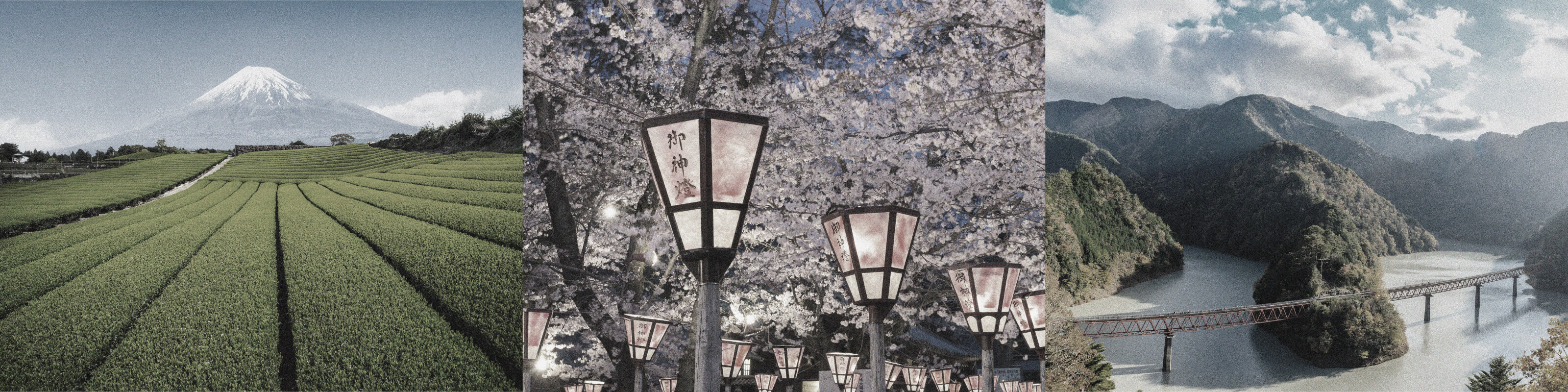 #02 SHIZUOKA | MARLMARL CARAVAN