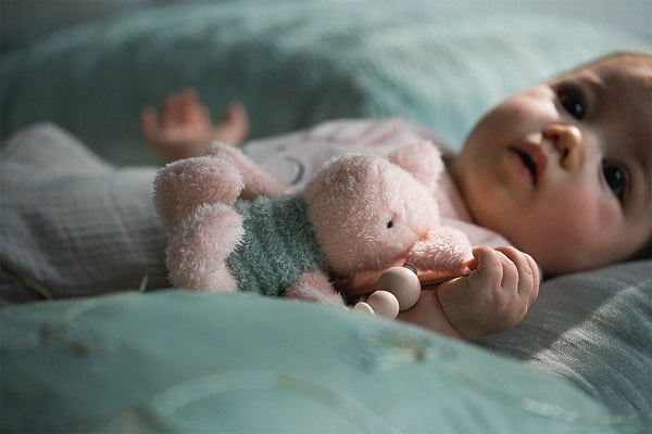 BFF+ rattle / Piglet ¥6,050