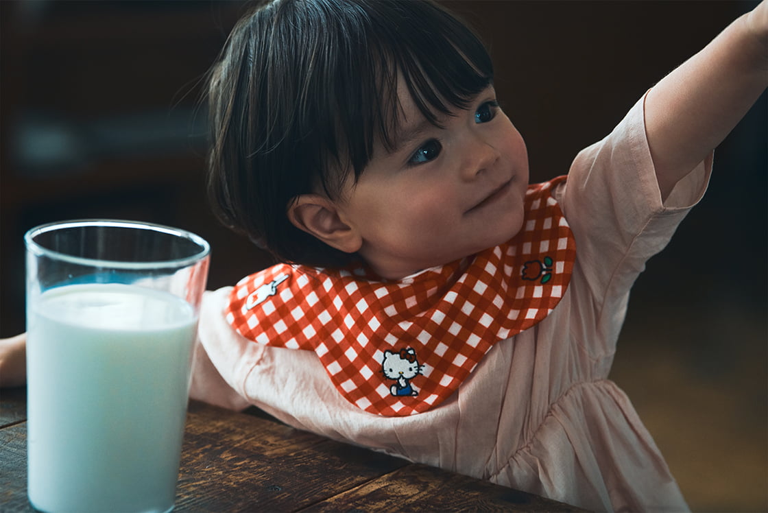 scallop bib / Hello Kitty