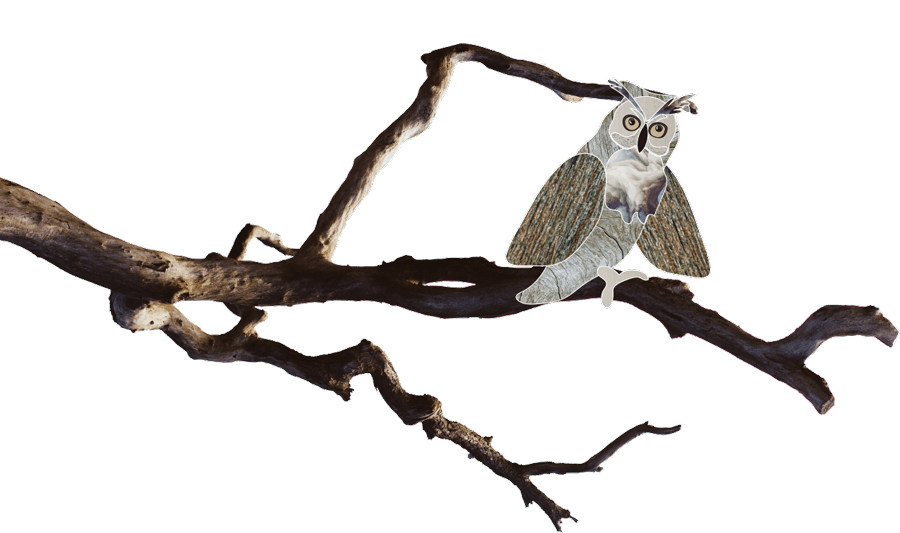 Shimafukurou no Eda | MARLMARL