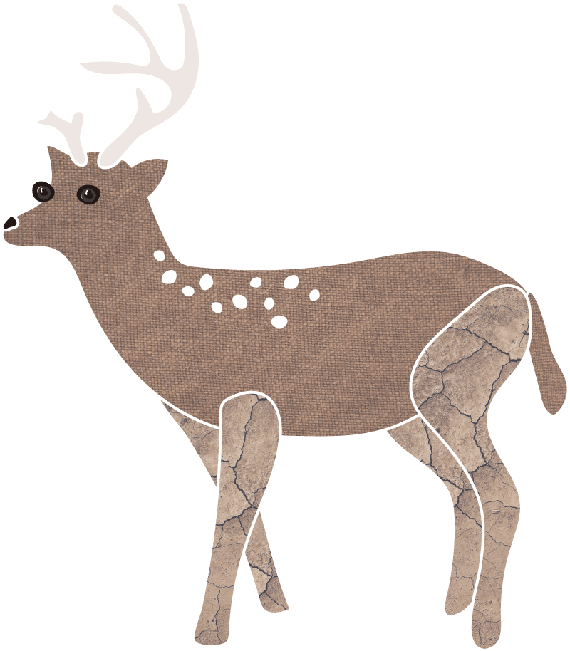 Shimafukurou no Eda | MARLMARL