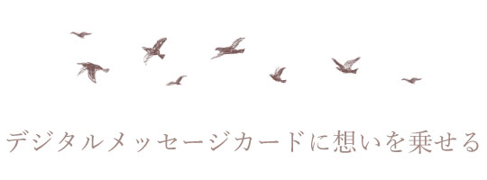 Social Gift | MARLMARL