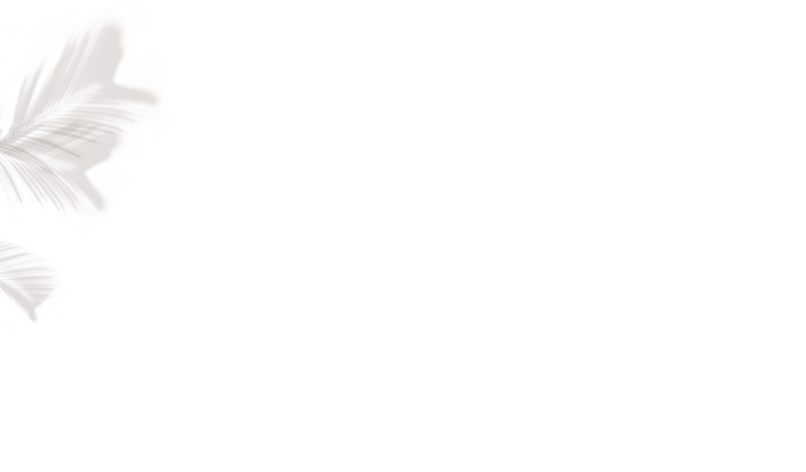 MARLMARL 2023SS NEW COLLECTION wonder