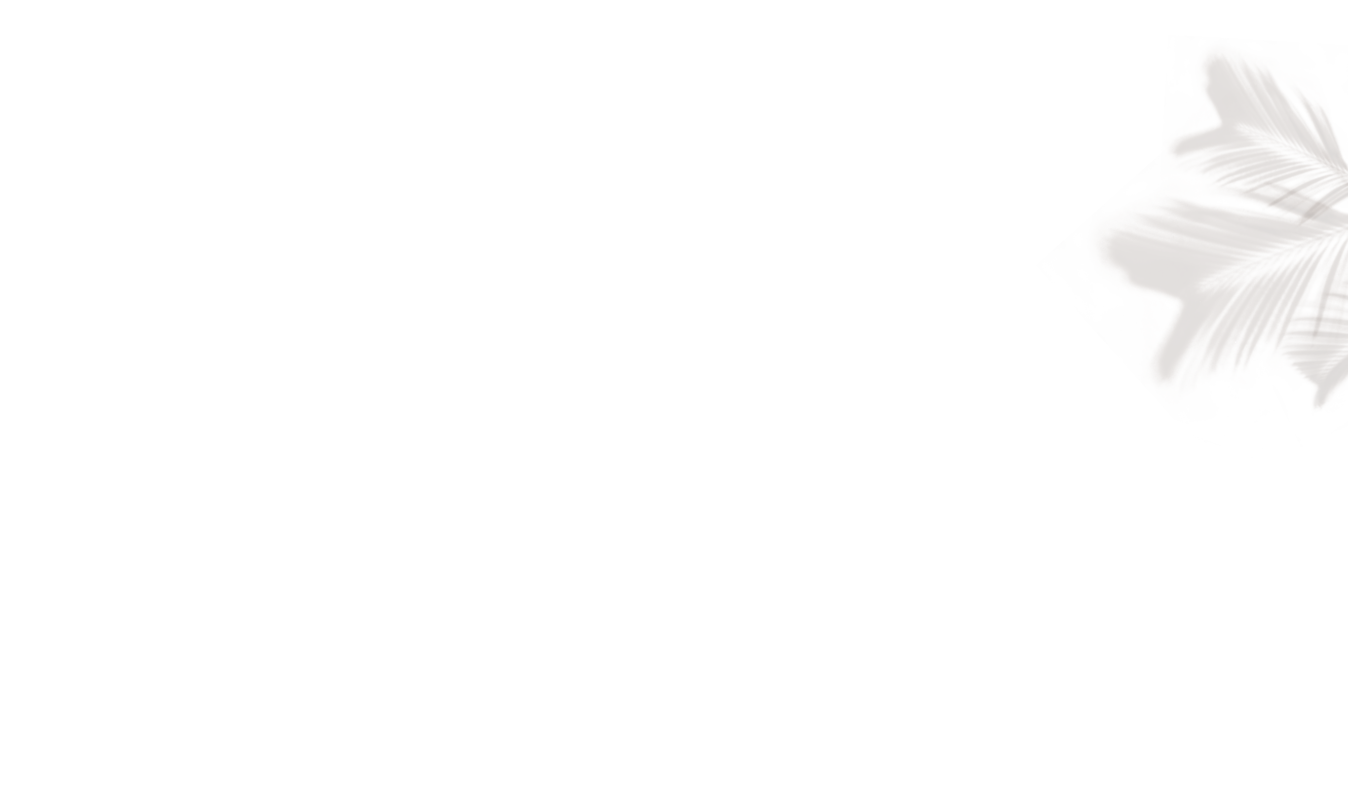 MARLMARL 2023SS NEW COLLECTION wonder