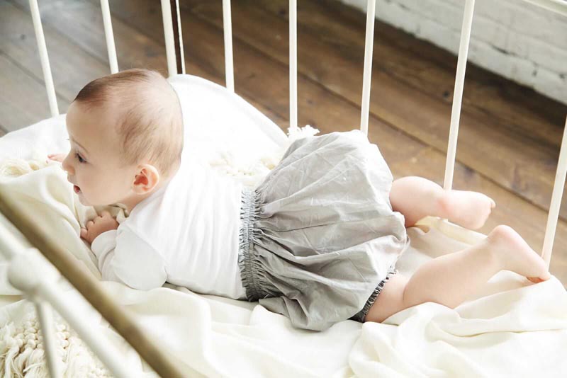 ブルマbloomers 4 edelweiss silver