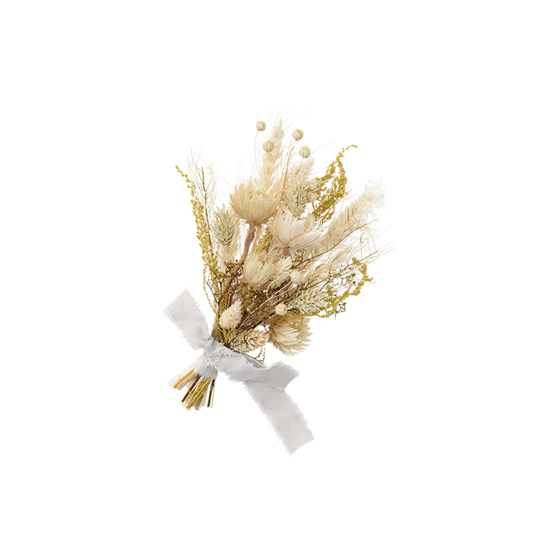 dry flower 2 yamabuki S