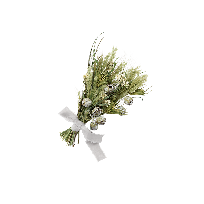 dry flower 3 uguisu S