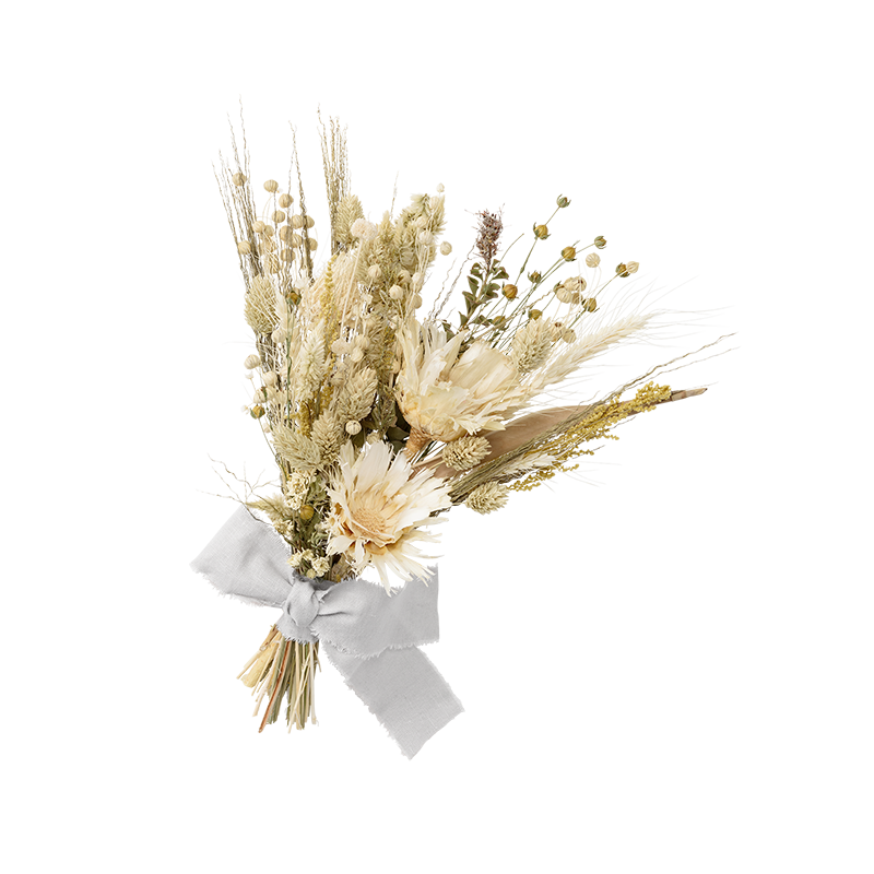 dry flower 2 yamabuki M