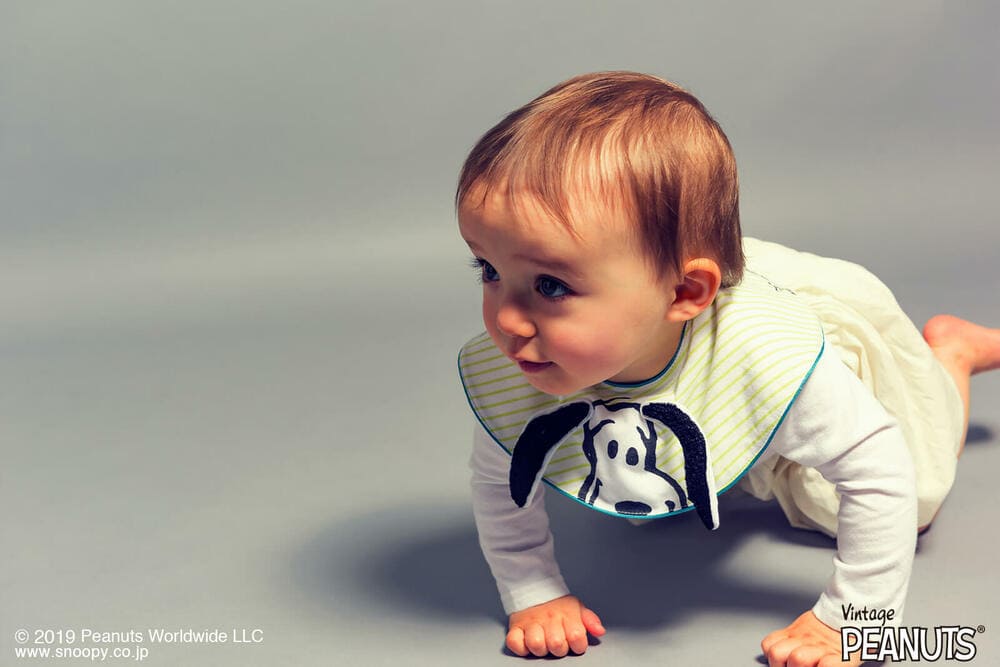 マールマールのピーナッツ2とブルマ1