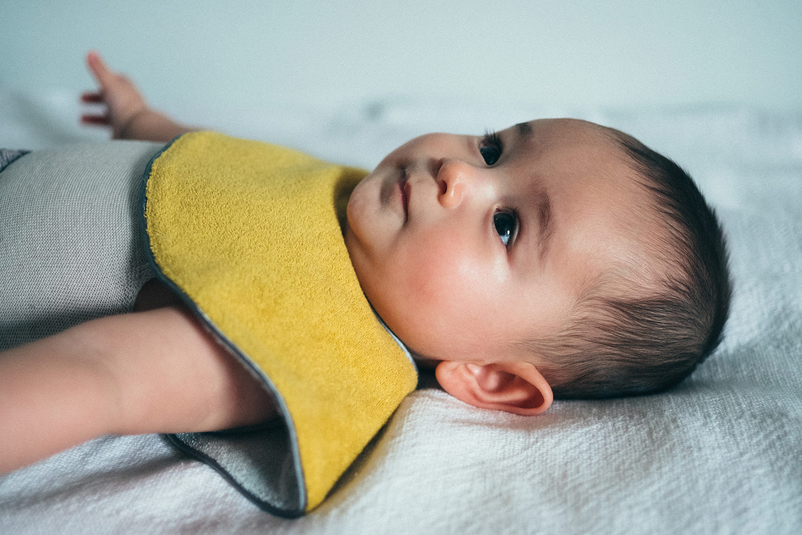 マールマール スタイ meringue 6 citron