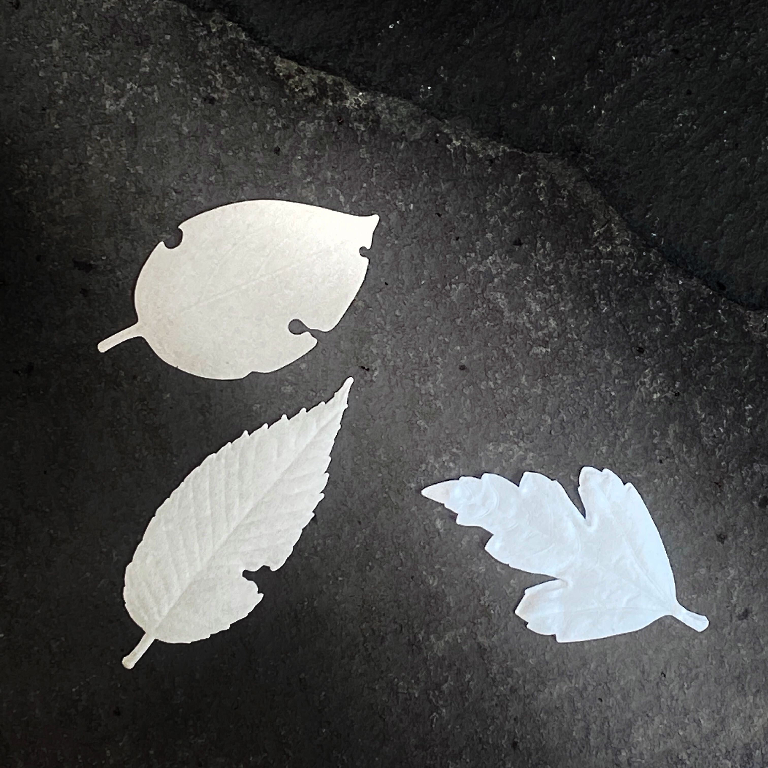 CADO MARLMARL  1st Anniversary｜出産祝い・ギフトならMARLMARLのスタイ