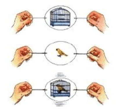 PLAY WITH MARLMARL！ PLAY. 4 MARLMARL CRAFT塗り絵でソーマトロープを作ろう（事前予約制：参加無料） | MARLMARL