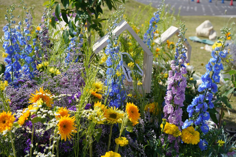 【ブランド初のファッションショーへ抽選ご招待】CADOTruckの出張ワークショップ！