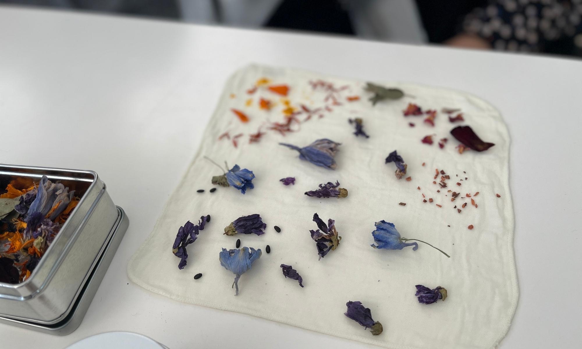 《金沢Report》MARLMARL CARAVAN