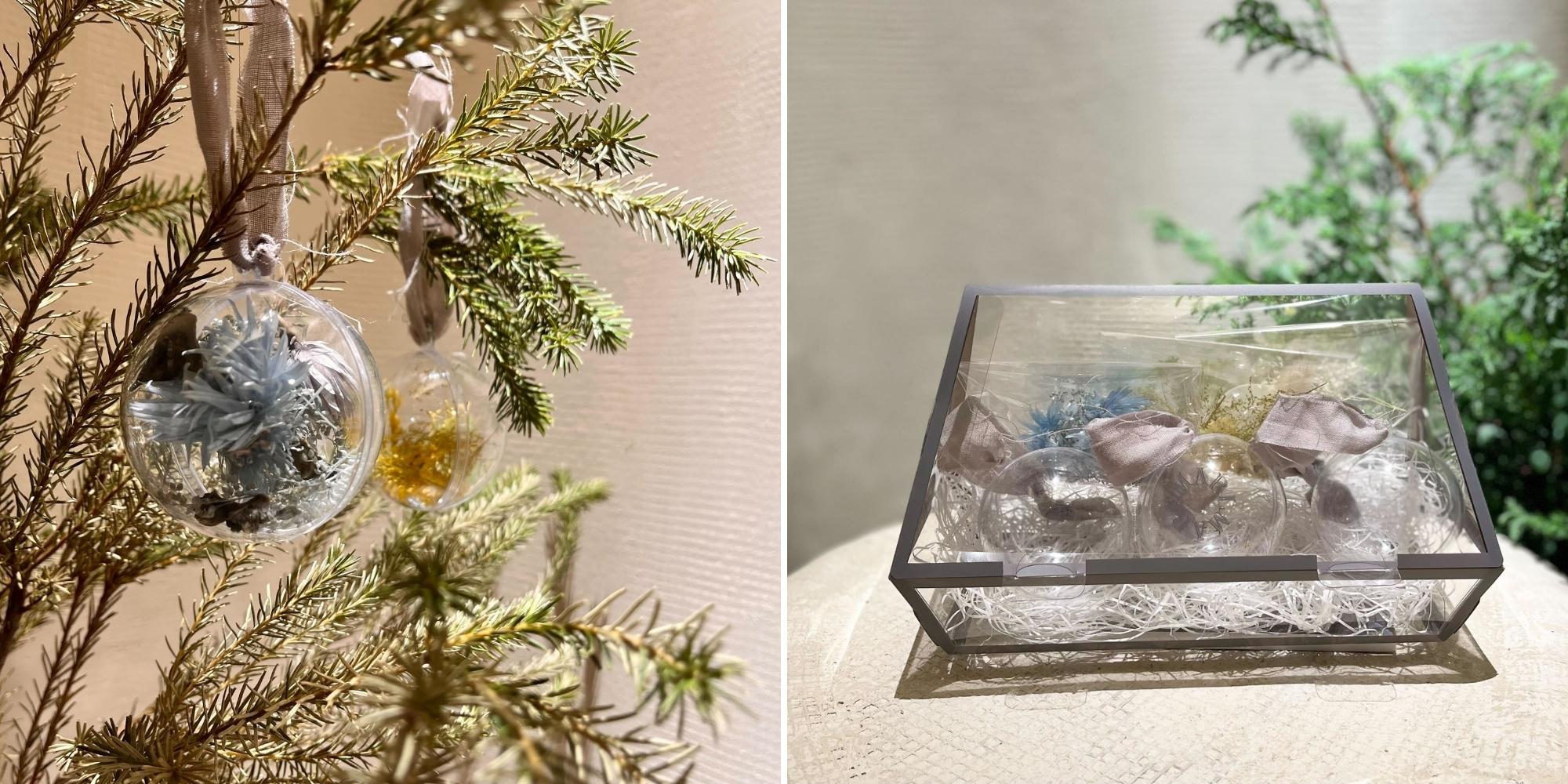 【OUR SUSTANABLE VISION】Monthly Report_November 2022