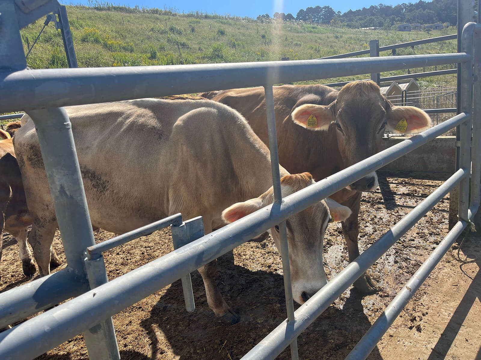 【OUR SUSTANABLE VISION】Monthly Report_November 2022