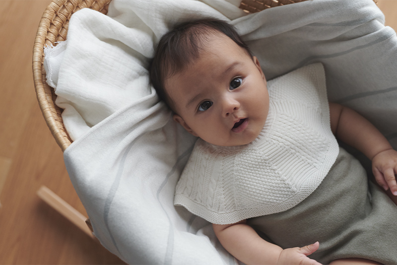 【GW前までの発送をご希望の方へ 】ご注文期限のご案内