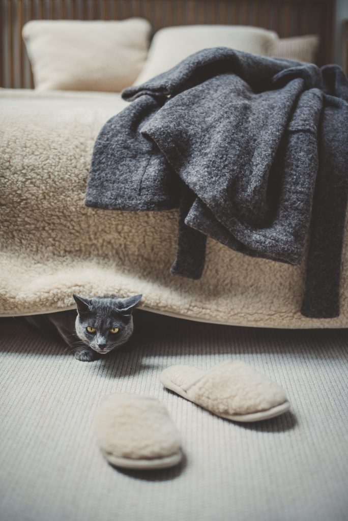 marlmarl_flokati_01-684x1024